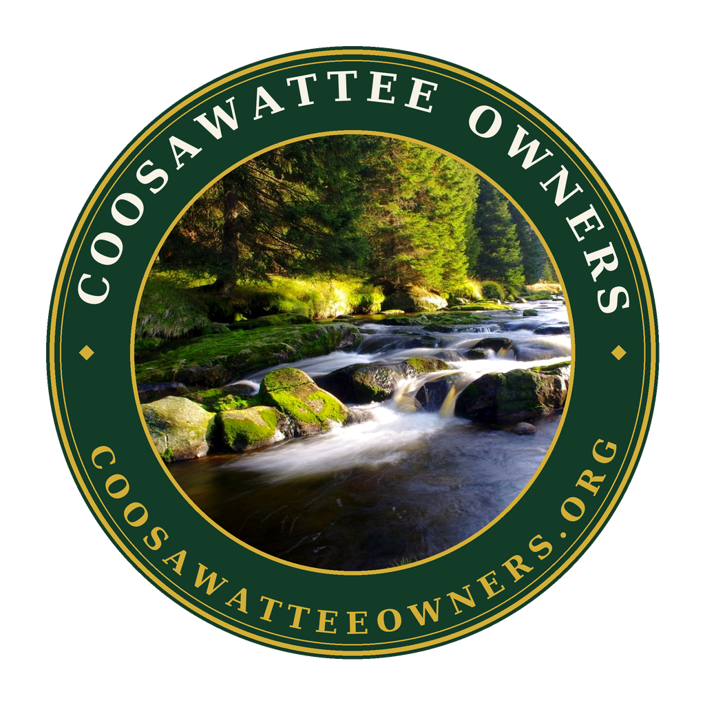 Coosawattee Owners
